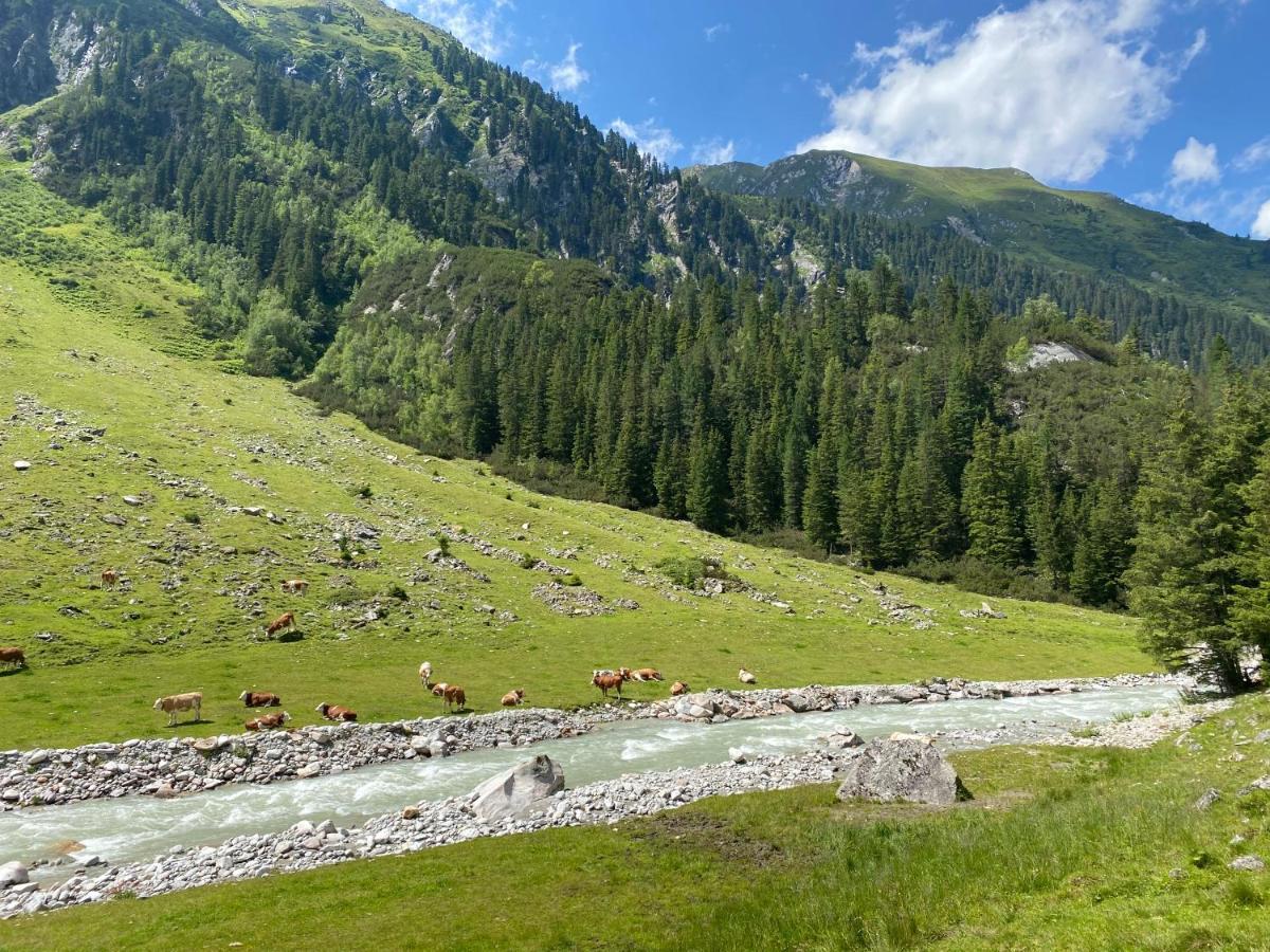 Penthaus Kitzebueheler Alpen Apartment Neukirchen am Grossvenediger Luaran gambar