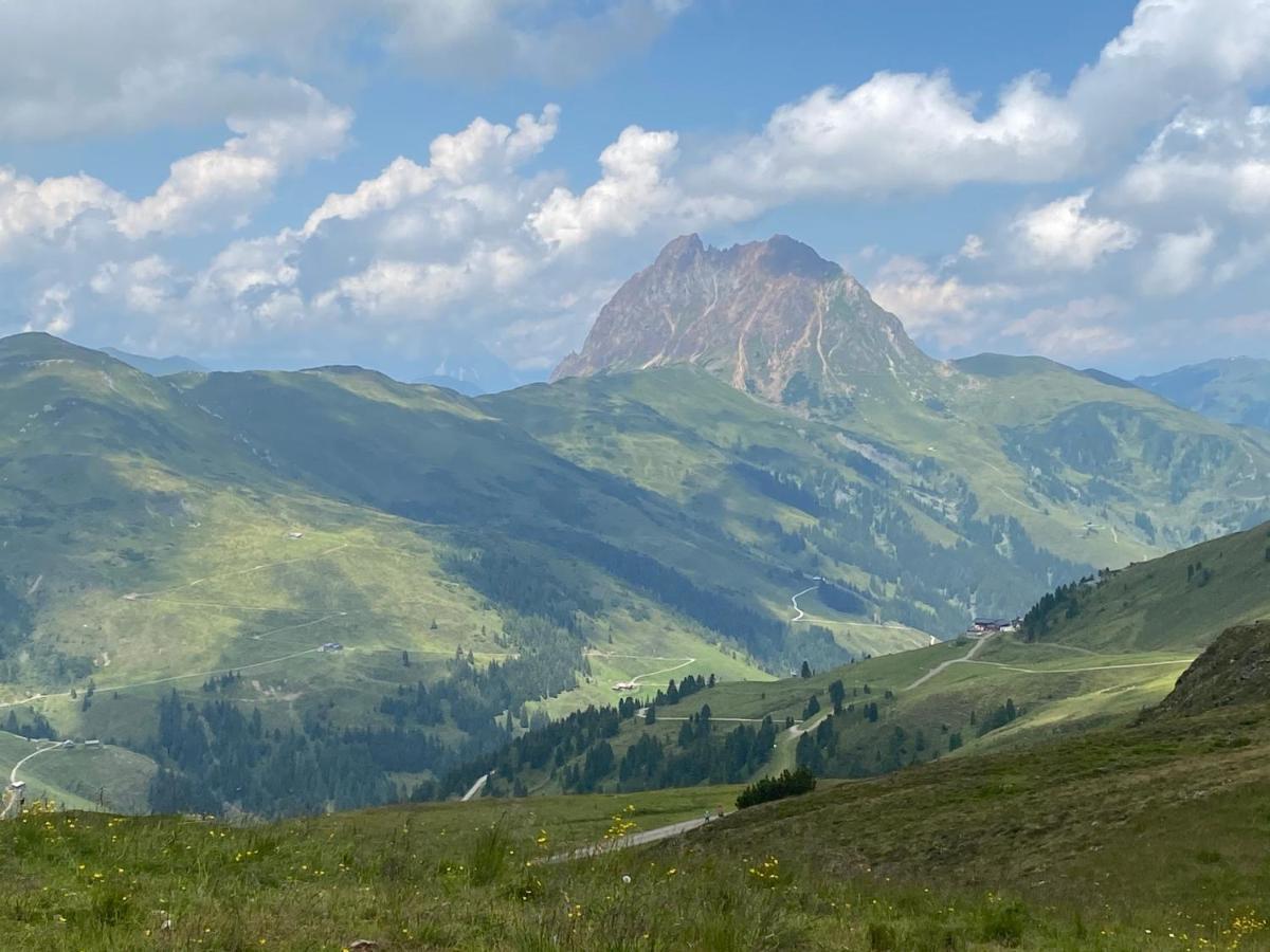 Penthaus Kitzebueheler Alpen Apartment Neukirchen am Grossvenediger Luaran gambar